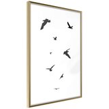  Poster - Birds 30x45 Cijene