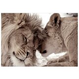  Samoljepljiva foto tapeta - Lion Tenderness (Sepia) 98x70 | shoptok.hr