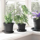  Saksije za biljke 24 pcs Crna Ø 12,5 x 10 cm Plastika | shoptok.hr