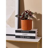 Sinsay Dekorativne kartonske knjige | shoptok.hr