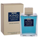 Antonio Banderas King of Seduction Absolute toaletna voda 200 ml za moške | Shoptok.si