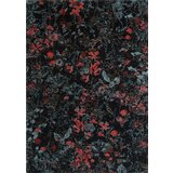 Carpet Decor Tepih Secret Black 160x230 Cijene