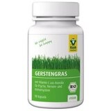 Raab Vitalfood GmbH Bio ječmenova trava v kapsulah Cene
