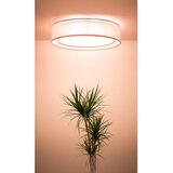  plafonsko svetlo puro 2xE27/40W/230V, prečnika 50 cm, ružičasto | Eponuda.com