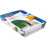 Trixie Mačja trava mehka seme 100g Cene