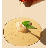 DAENG GI MEO RI Honey Therapy Professional Plus Shampoo regenerirajući šampon za slabu i oštećenu kosu 500 ml | shoptok.hr