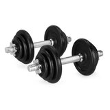 Spokey Dve ročki po 10 kg | Shoptok.si