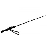 Mistress by Isabella Sinclaire Intense Impact Cane Cene
