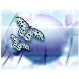  Tapeta - Planet of butterflies 200x154 | shoptok.hr