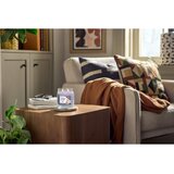 Yankee Candle Lavender Vanilla dišeča sveča 268 g | Shoptok.si