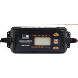  CHARGER WITH LCD DISPLAY 12V I 24V | shoptok.hr