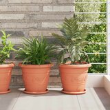  Saksije za biljke 24 pcs Crvena cigla Ø 26 x 21.5 cm Plastika | shoptok.hr