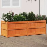  Sadilica voštano smeđe boje 150 x 50 x 50 cm od borovine | shoptok.hr