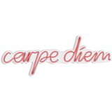 Wallity Zidna LED dekoracija Carpe Diem Pink Cene