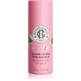 Rose Sublimating Lip Balm balzam za ustnice 3.5 g