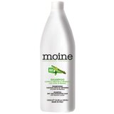  Renee Blanche Moine Dry Hair Shampoo 1000ml - Šampon za suvu kosu | ePonuda.com