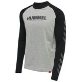 Hummel Majice & Polo majice T-shirt Legacy Blocked gris Siva Cene