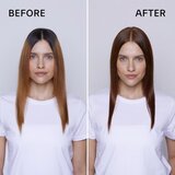 Schwarzkopf Igora Zero Amm - 5-67 svetlo rjava bakrena čokolada | Shoptok.si