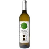 Belo vino PILATO istarska malvazija 0,75l Cene