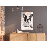  Slika za samostalno slikanje - French Bulldog 40x60 | shoptok.hr