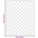  Poletna odeja Roza 220 x 260 cm Mikrofibra in Teddy flis, (5000284676) | Shoptok.si