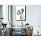  Poster - Sphinx 30x45 | shoptok.hr