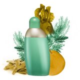 Cacharel Eden wmn edp sp 50ml | Eponuda.com
