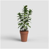 Artevasi Cvetlični lonec iz reciklirane plastike ø 40 cm Capri – | Shoptok.si