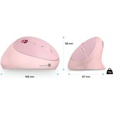 Connect IT CMO-2600-PK - Ergonomski bežični miš 800/1200/1600 DPI 1xAA roze | Eponuda.com