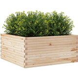 vidaXL vrtno cvetlično korito 100x100x46 cm trdna borovina, (21266456) | Shoptok.si