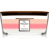Sveća Trilogy Ellipse Blooming Orchard 1728615E