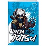 Play premium, sveska, 50 lista, Game - odaberite motiv A5 Blanko Ninja Cene