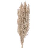 Eglo 428082 - Sušeno cveće GUIPOS 85 cm bež | Eponuda.com