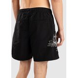 Ninth Hall 16.5" Sacred Feather Boardshorts black / multi hit | Shoptok.si