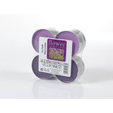  Mirisne lučice Maxi (Lavanda, 8 Kom.) | shoptok.hr