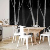  Foto tapeta - Noise of the forest at night - minimalist landscape of white trees on a black background 500x350 | shoptok.hr