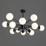  Luster HD2115-12 | Eponuda.com
