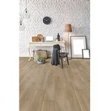Tarkett laminat giant sunset oak 12 mm 4V 33 | shoptok.hr