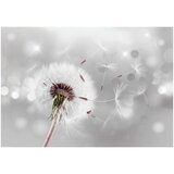  Tapeta - Grasping the Invisible 400x280 | shoptok.hr