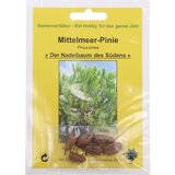 TROPICA Sredozemska pinija Cene