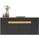 Dieter Knoll KOMODA, antracit, barve hrasta | Shoptok.si