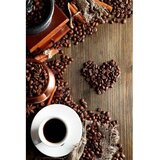 Conceptum Hypnose tepih (140x220) Hmnt589 | ePonuda.com