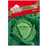  Kelj Vertus Royal Seeds | Eponuda.ba
