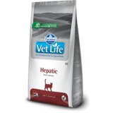 Farmina vet life veterinarska dijeta cat hepatic Cene