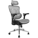 Ergonomic Premium Office Chair with Headrest and Armrests, Grey