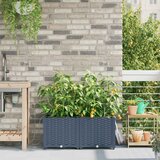  Vrtna saksija 2 pcs Sivi 80 x 40 x 37,5 cm Plastika | shoptok.hr