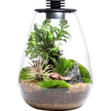 Bioloark Bio Bottle model SD - 200 Cene