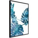  Poster - Sapphire Monstera 20x30 Cijene