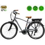 mestno električno kolo EMG Marlon, siva