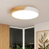 LED stropna svetilka 30cm